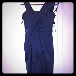 BCBG maxazria gorgeous blue gown